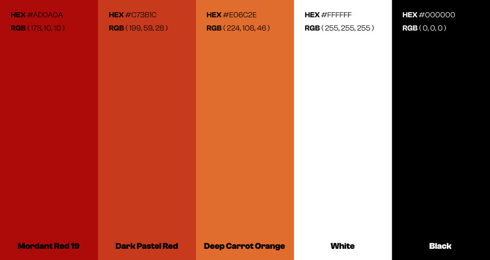 Charte Graphique Sakana